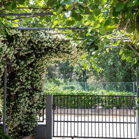 Apartmani Dina بيوغْغاد نا موغو المظهر الخارجي الصورة