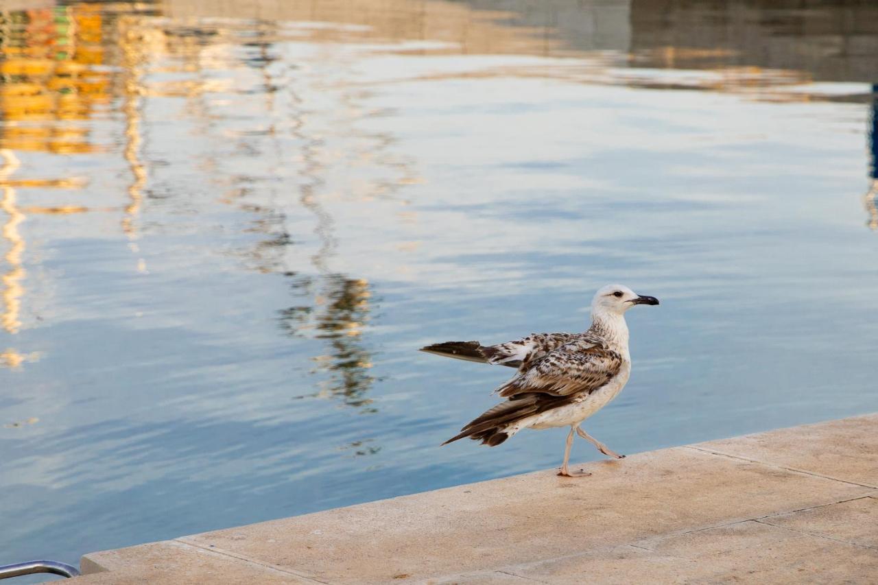 Apartmani Dina بيوغْغاد نا موغو المظهر الخارجي الصورة