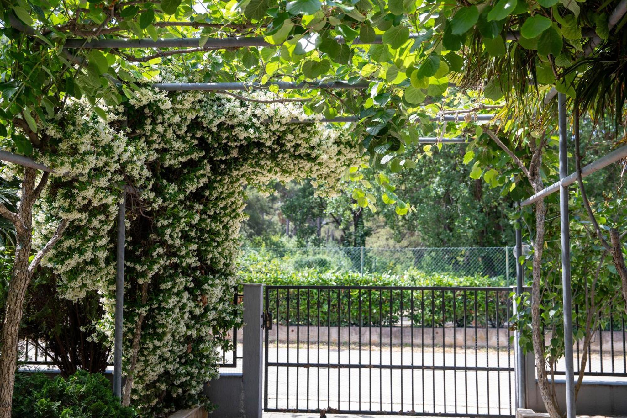 Apartmani Dina بيوغْغاد نا موغو المظهر الخارجي الصورة